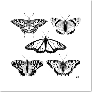 Black-and-white Butterflies Posters and Art